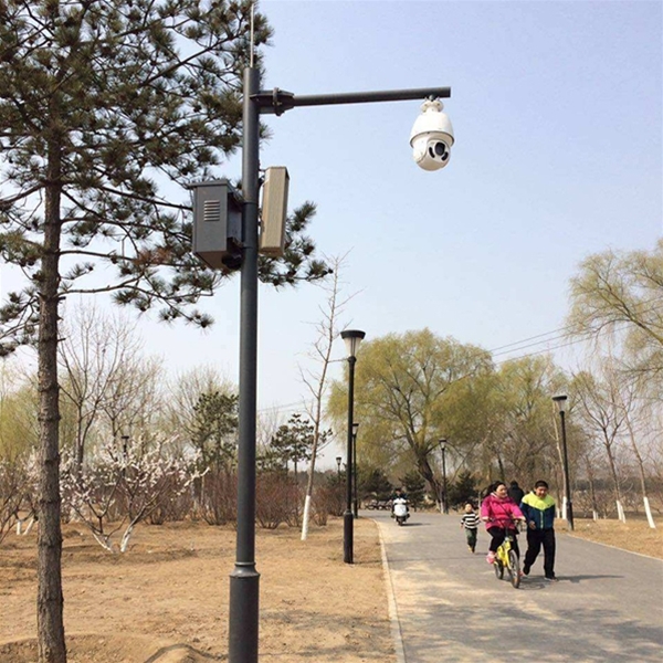 武威路灯监控杆-LB-03